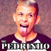 Mc Pedrinho - Album Mc Pedrinho