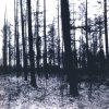 http://s.mxmcdn.net/images-storage/albums/1/4/4/8/1/1/28118441.jpg