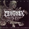 Centinex - Album Bloodhunt / Reborn Through Flames