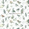 Edwyn Collins - Album Losing Sleep