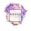 The Chainsmokers feat. ROZES - Album Roses [Remixes]