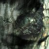 http://s.mxmcdn.net/images-storage/albums/1/6/6/2/3/0/27032661.jpg