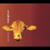 Midnight Oil - Album Capricornia