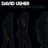 David Usher - Album Wake Up and Say Goodbye