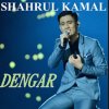 Shahrul Kamal - Album Dengar