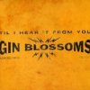 Gin Blossoms - Album Til I Hear It From You