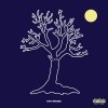 Roy Woods - Album Exis
