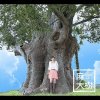 http://s.mxmcdn.net/images-storage/albums/1/8/9/8/3/0/27038981.jpg