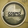Cosmo Sheldrake - Album The Moss