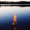 http://s.mxmcdn.net/images-storage/albums/1/9/2/2/0/8/13802291.jpg