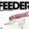 Feeder - Album Forget About Tomorrow