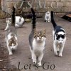 Osmo - Album Let's Go