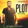 Geeta Zaildar - Album Plot