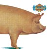 http://s.mxmcdn.net/images-storage/albums/2/0/3/0/4/1/27140302.jpg