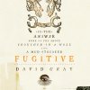 David Gray - Album Fugitive