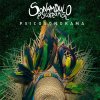 Sonámbulo - Album Psicosonorama
