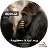 Angstrom & Aalberg - Album Gorilla