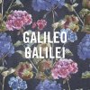 Galileo Galilei - Album 嵐のあとで