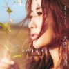 黃美珍 - Album Tamalakao