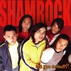 Shamrock - Album Are You Serious?