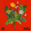 Jamie Lidell - Album Building a Beginning
