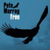 Pete Murray - Album Free