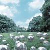 http://s.mxmcdn.net/images-storage/albums/2/3/2/0/0/5/12500232.jpg