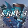 Krrum - Album Evil Twin