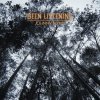 Johnny Flynn - Album Been Listening