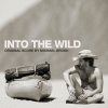 Michael Brook - Album Into the Wild