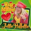 Jettie Pallettie - Album Waar Zijn De Mannen