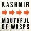 Kashmir - Album Mouthful of Wasps