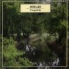 Midlake - Album Young Bride