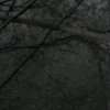 http://s.mxmcdn.net/images-storage/albums/2/5/0/4/2/5/30524052.jpg