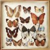 http://s.mxmcdn.net/images-storage/albums/2/5/2/6/0/1/27106252.jpg