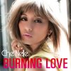 Che'Nelle - Album Burning Love