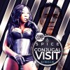 Spice feat. Vybz Kartel - Album Conjugal Vist