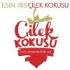 Esin İRİS - Album Çilek Kokusu