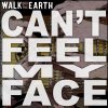 Walk Off the Earth - Album Can't Feel My Face