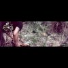 Karma Band - Album Naya Sapana