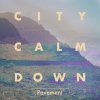 City Calm Down - Album Pavement