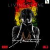 Stonebwoy - Album Living Stone