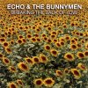 Echo & The Bunnymen - Album Breaking the Back of Love