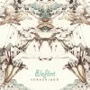 Elefánt - Album Vérkeringő