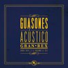 Guasones - Album Acústico Gran Rex