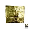 Akeem Jahat - Album $Ua