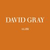 David Gray - Album Alibi