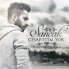 http://s.mxmcdn.net/images-storage/albums/2/9/1/6/7/1/32176192.jpg