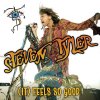 Steven Tyler - Album (It) Feels So Good