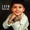 ZAYN - Album LIKE I WOULD